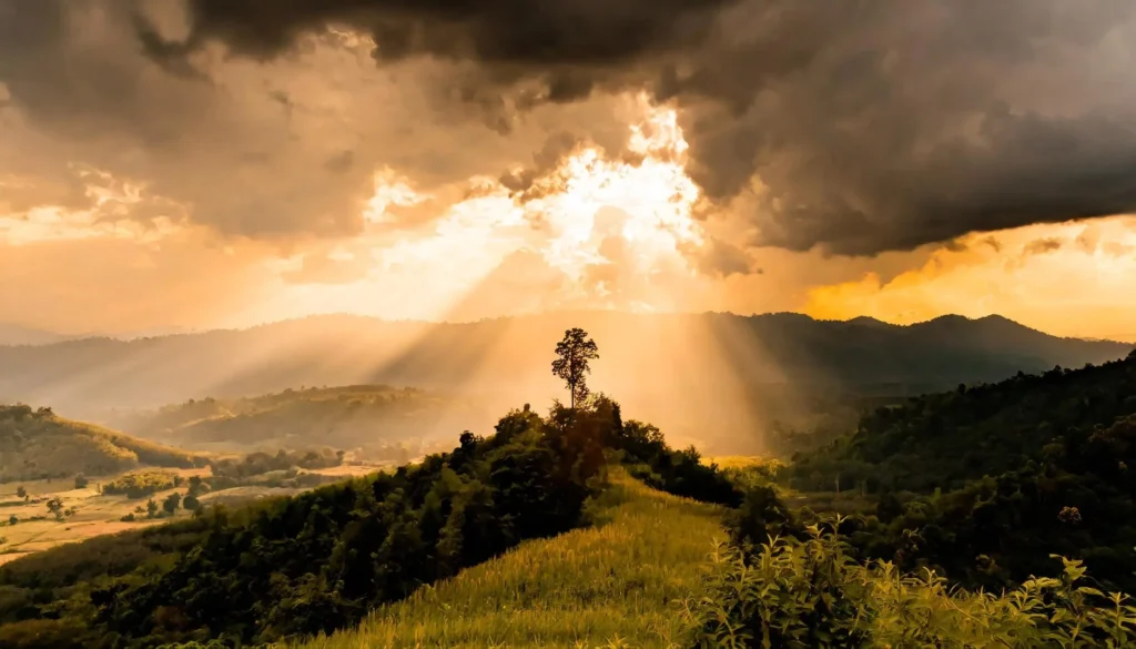 Being Present: The Science of Holding On and Letting Go